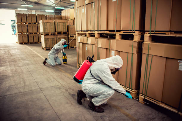 Best Exterminator Services  in Thiells, NY