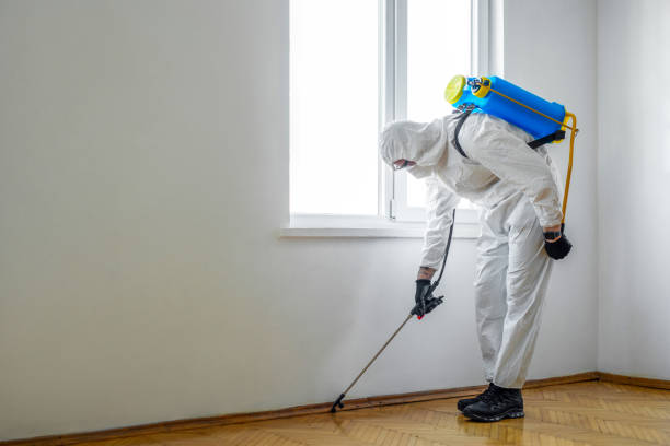Best Pest Removal Services  in Thiells, NY