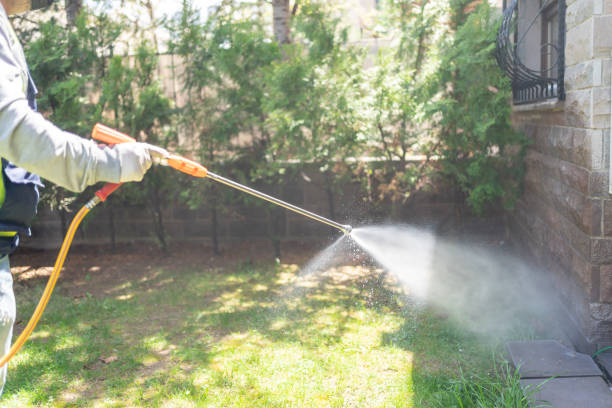 Best Local Pest Control Services  in Thiells, NY