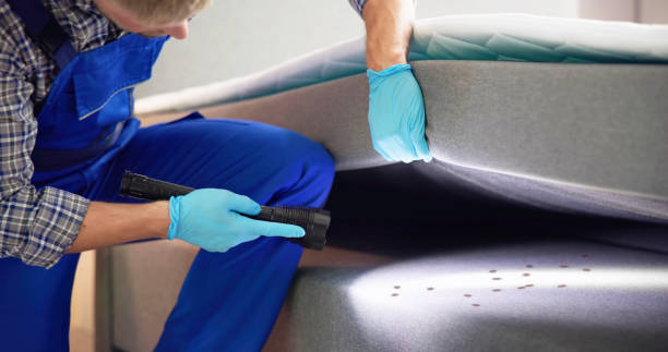 Best Pest Prevention Services  in Thiells, NY