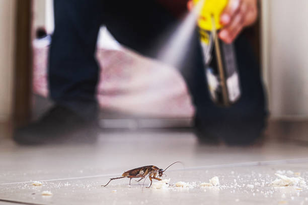 Best Wildlife Control Services  in Thiells, NY