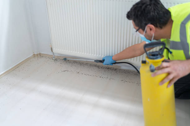 Best Cockroach Control Services  in Thiells, NY