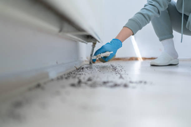 Best Affordable Pest Control Services  in Thiells, NY